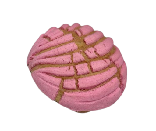 CONCHA ROSA