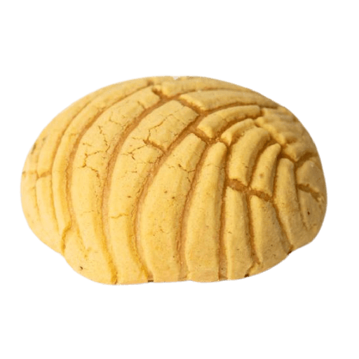 CONCHA AMARILLA